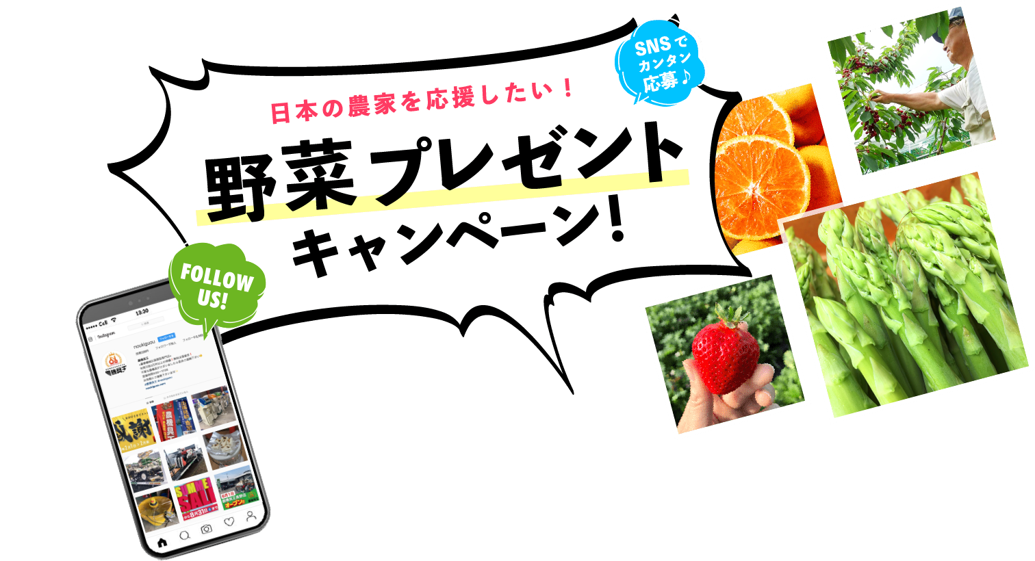日本の農家を応援したい！野菜プレゼントキャンペーン
